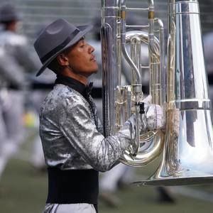 Meet your Posher, Owen